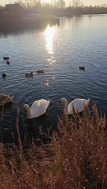 ������� ������ ��������� �53 ��������