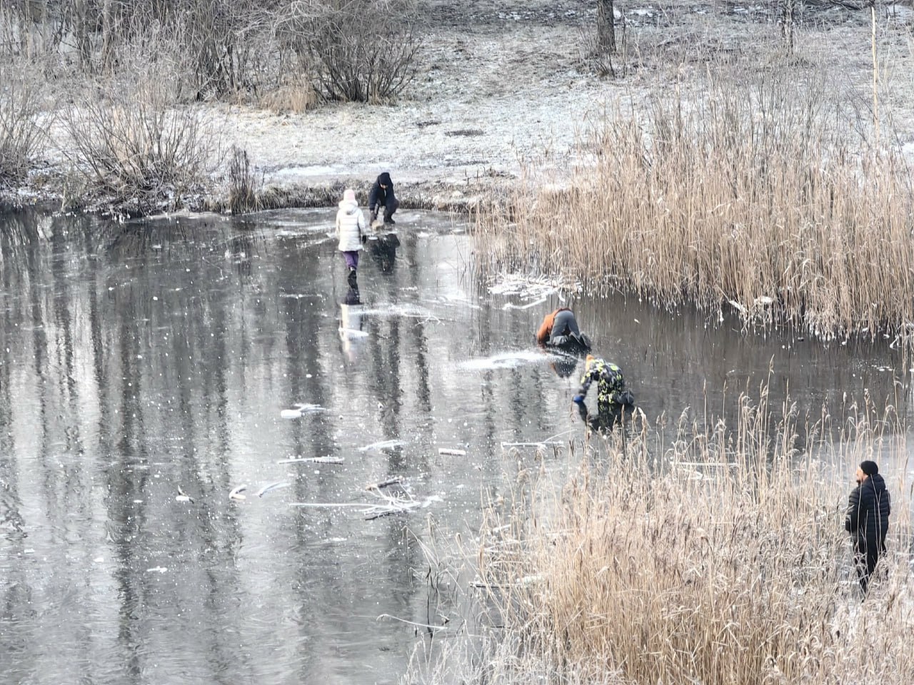 В Великом Новгороде дети вышли на тонкий лёд