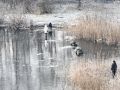 В Великом Новгороде дети вышли на тонкий лёд