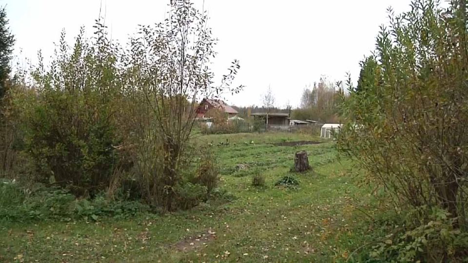 ������ �������� ��������� ���������� � �������� �������� ������� � ��������