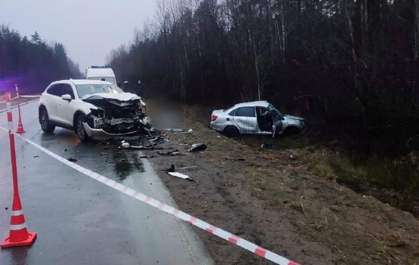 Сотрудники полиции Маловишерского округа работают на месте ДТП со смертельным исходом