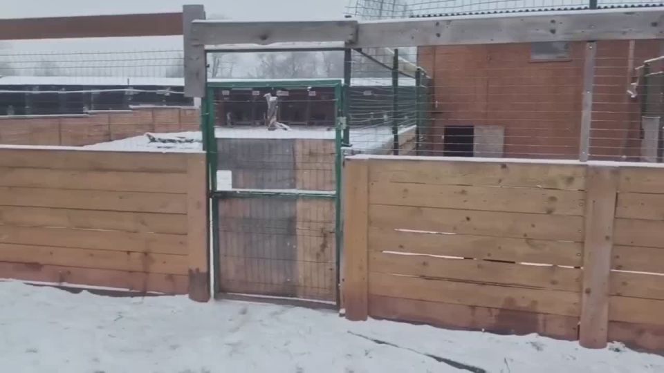 ���������� ���� ��� ��������� �������� ��������� � ������������ ������� �������