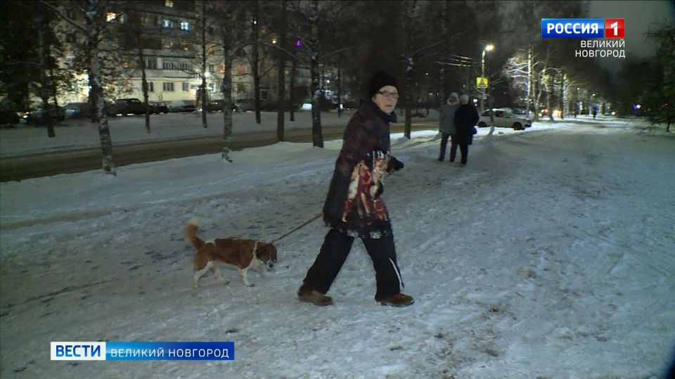 ������� ��������� �� ���������� �������� ��������� - ����� � ������ ��������