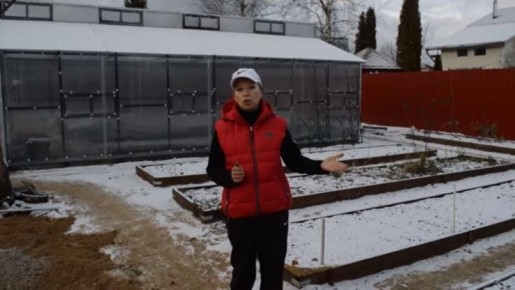 Зимние хлопоты в саду: что успеть сделать в декабре?