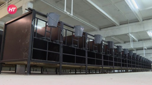 �� ����������� ������������� ������������� ������������� ������� ��� ����������� �����