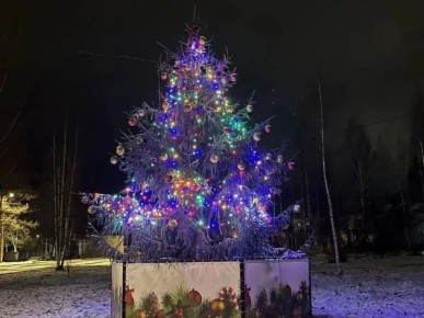 Подростки повредили новогоднюю ёлку в Боровичах