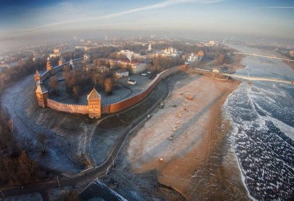 В Новгородской области стартовала акция благотворительная «Новогодняя миска добра» по сбору кормов для кошек и собак в приютах