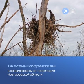 Депутаты областной Думы внесли ряд корректив в правила охоты