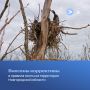 Депутаты областной Думы внесли ряд корректив в правила охоты
