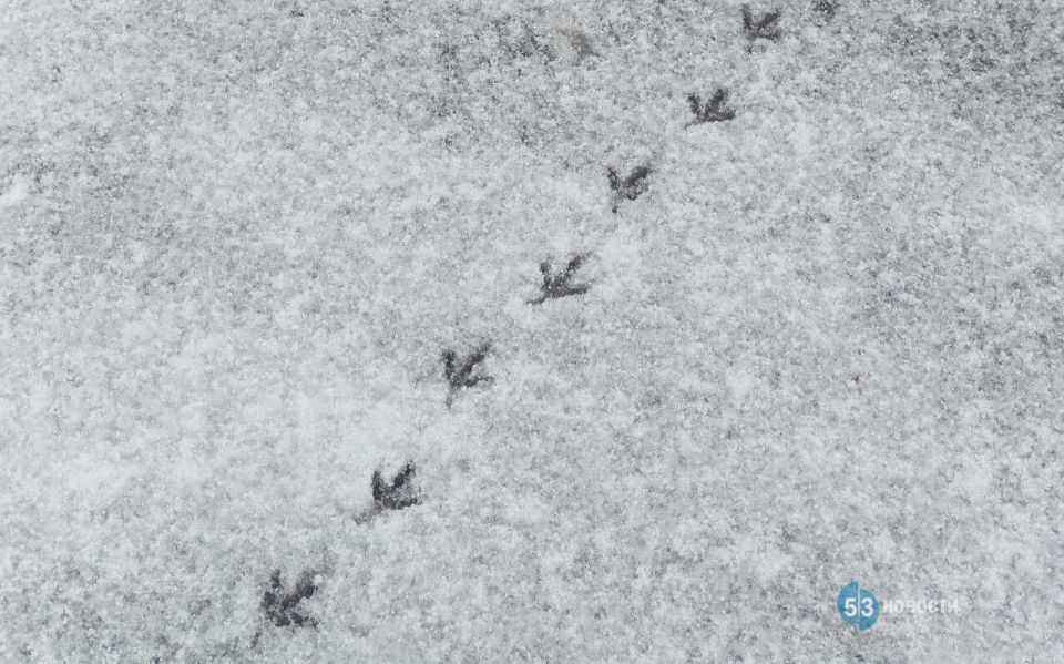 ��������� ��������, ����� � ������������ ������� ������ ��������� ������ ������