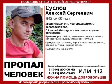 В Новгородской области с лета прошлого года идут поиски 33-летнего мужчины