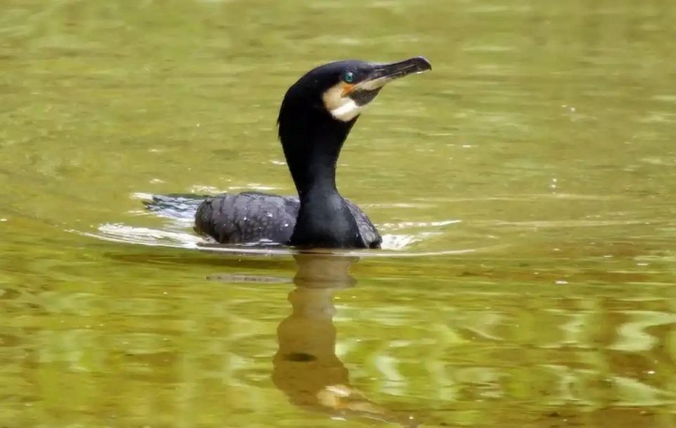 � 100 ��� ����������� ����� �������� � ������������ �������