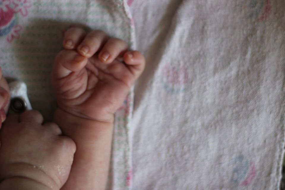 ������������ ����-����������: ���� ������������� ���� ������ � ��� �� �������