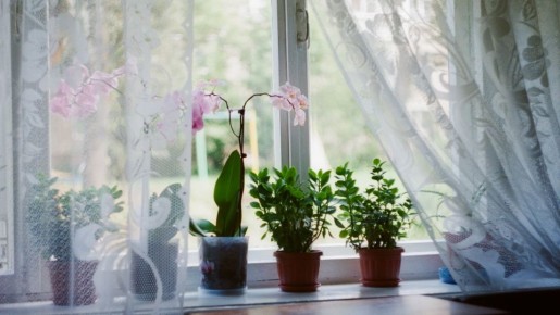 ����������� ���� ������ ����� ����� ��� �������� ������������: �������� �� ���� ������� �����