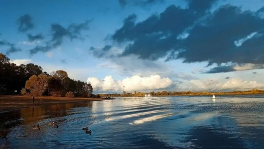 �������� � ������������ ������� �������� �� ��� 65 ���������� ������� ��� � ���