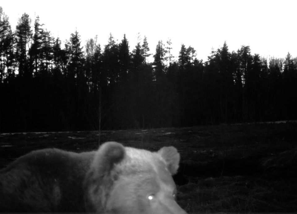 � ������������ ����� ����������� ����������, ��� ������� �������� �������