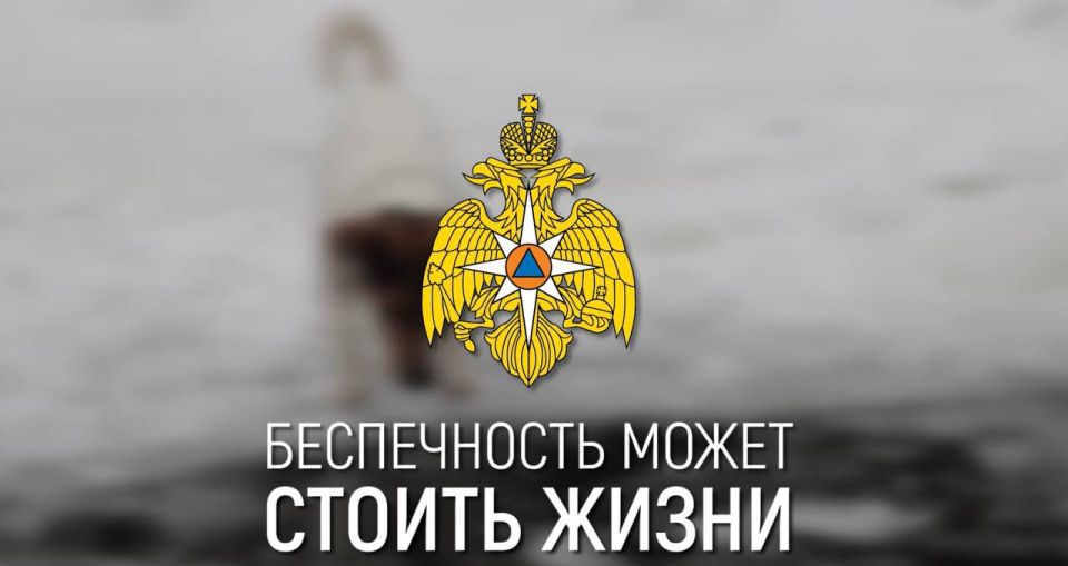 ��������? � �� ��� ���!. �������� �� ��������� �����������, �� �� ������� ������� ������ � �������