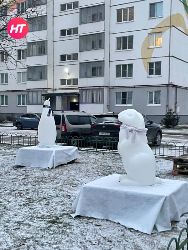 ��������: ���������� �������� ���� �������� ���������� � ������ ����