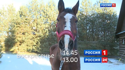 � ��������� ����������� � ���� ������ ����� ������ ��������� ������ �� �������