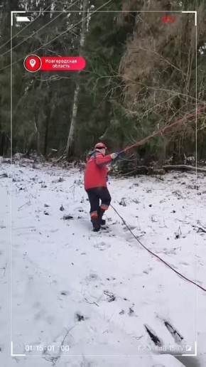 �������� ������-����� ������������ 540 ���������� ��� � ������������ �������