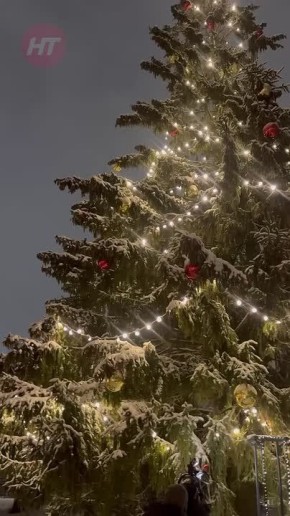 ������� ���������� �������� ������������� ��������� � ������������ ������