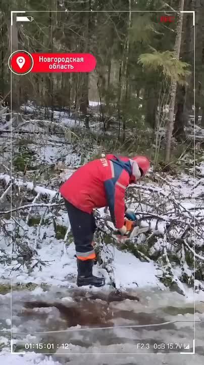 � ������������ ������� ����� ��������� ������������ 520 ���������� ���