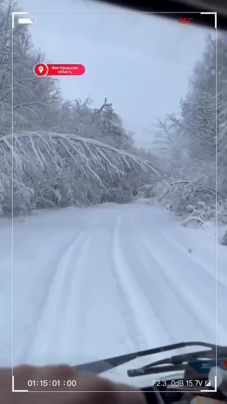 � ����� �� ����� � �������