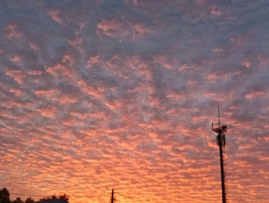 ����� �������� ������ ����������� �� ����������� � ��������� �������� ������������ �������