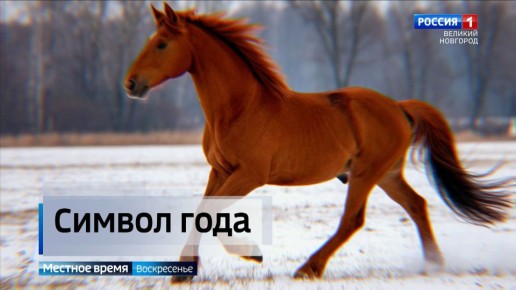 �������� ��������� 2026-�� ����� ������, ������� ������� ���� ������� �������� � ����� ������