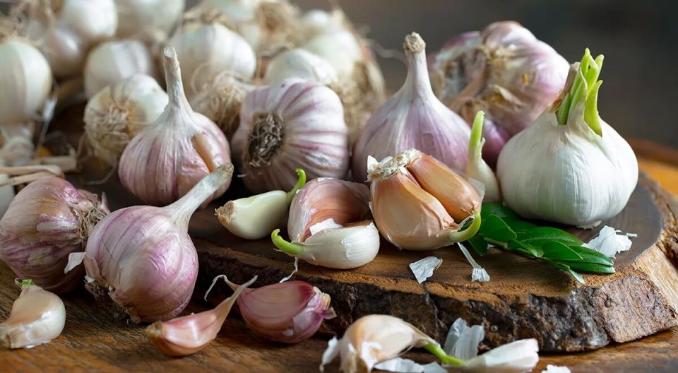 ������: ������� ��������� ������������ � �������� ����