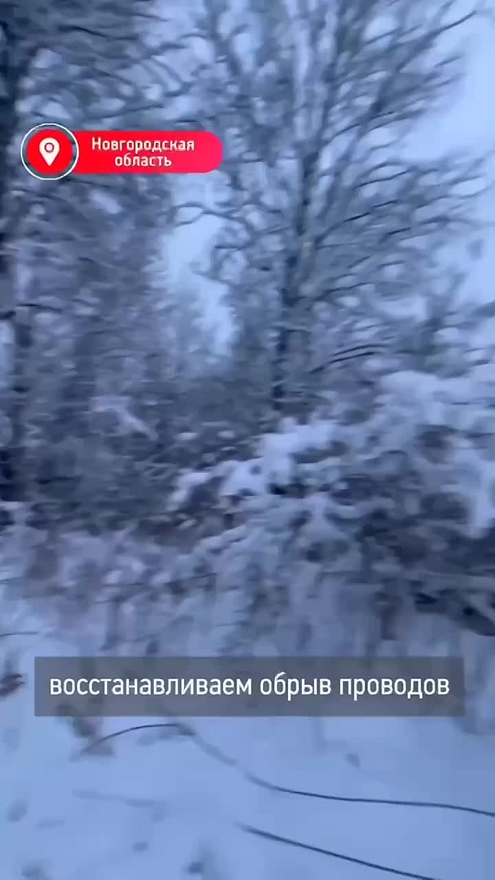 В Новгородской области после снегопадов восстановили более 1000 километров ЛЭП