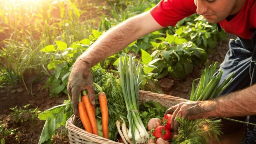 ��� ������� ������� ���� ������: ������� ���� ��� ��������