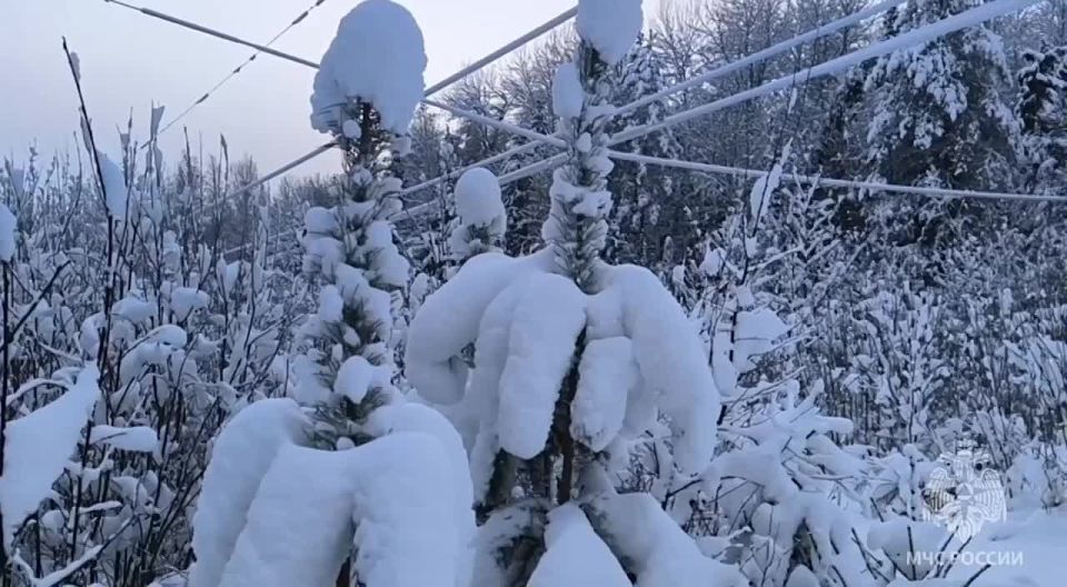 ��������� ������: ���� ���������� ����������� ���������� �������������� ��������� ���������� ��������������� ������