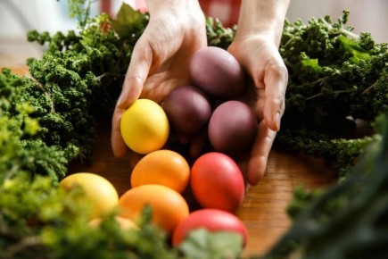 ��� ������� ���� �� �����: 5 ��������� ����������� ����������