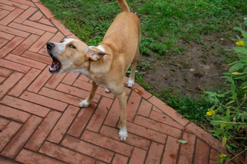 ������� ������: ������� �����, ������� �����