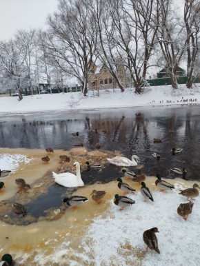 ���� ����� ������� � ��������� ���� ���� �� ������� ������������ � ��-���������� ������ ������� �����