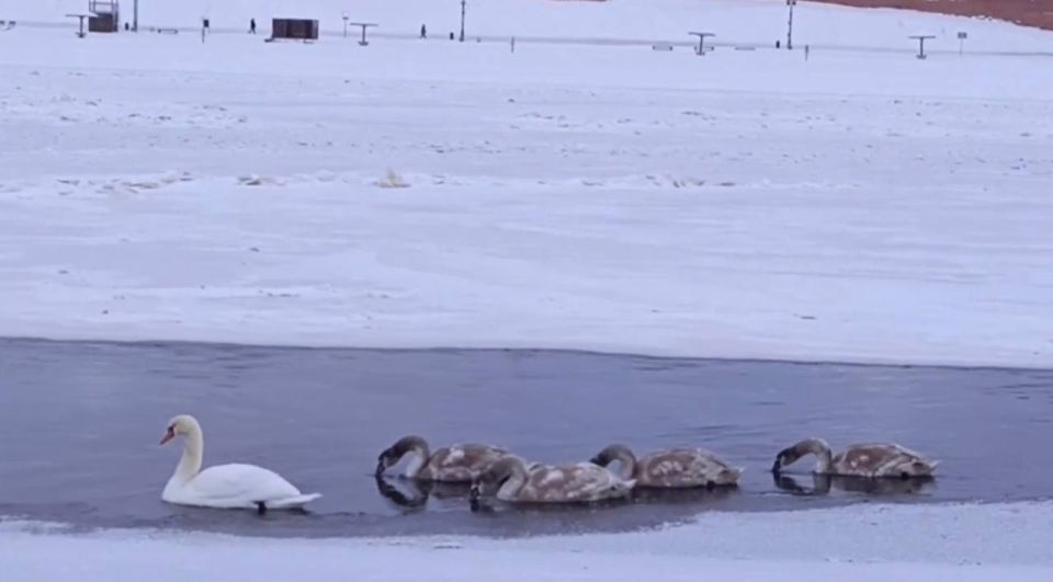 � ������� �������� ��������� ������!