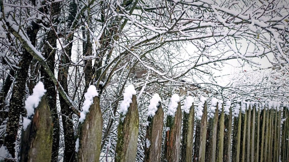 ���������� ������ ������� � ������ ����� ���������