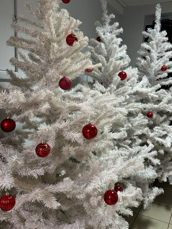 ��� ������� ����������� ������ ������������ ���������� ����������� �����������