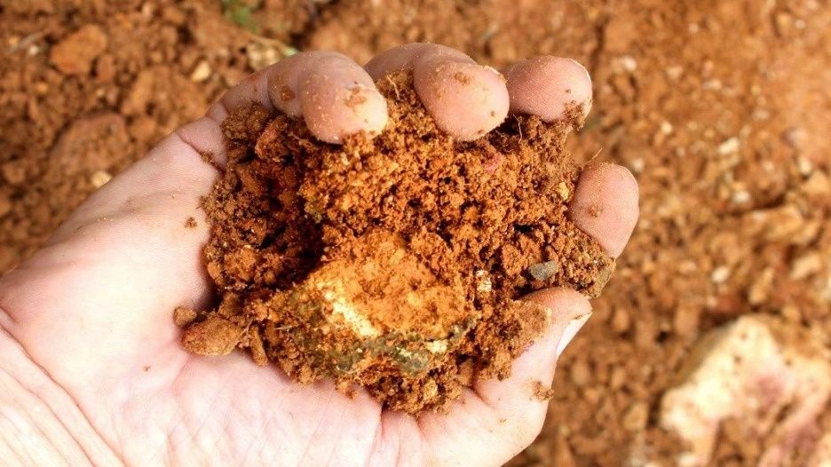 ��� ���������� �� ��������� �����: ������� ����������� �������������