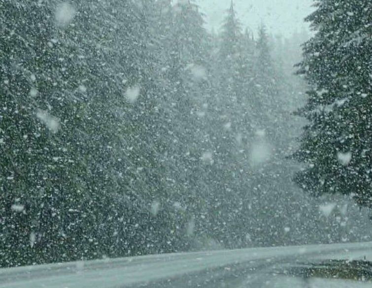 � ������������ ������� ��������� ��������� �������� �������