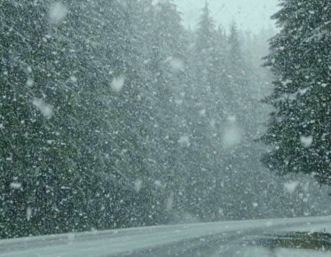 � ������������ ������� ��������� ��������� �������� �������