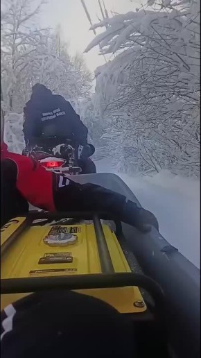 � ������������ ������� ���������� ��������������� ����������������