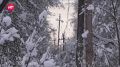 В Новгородской области продолжаются работы по восстановлению электроэнергии