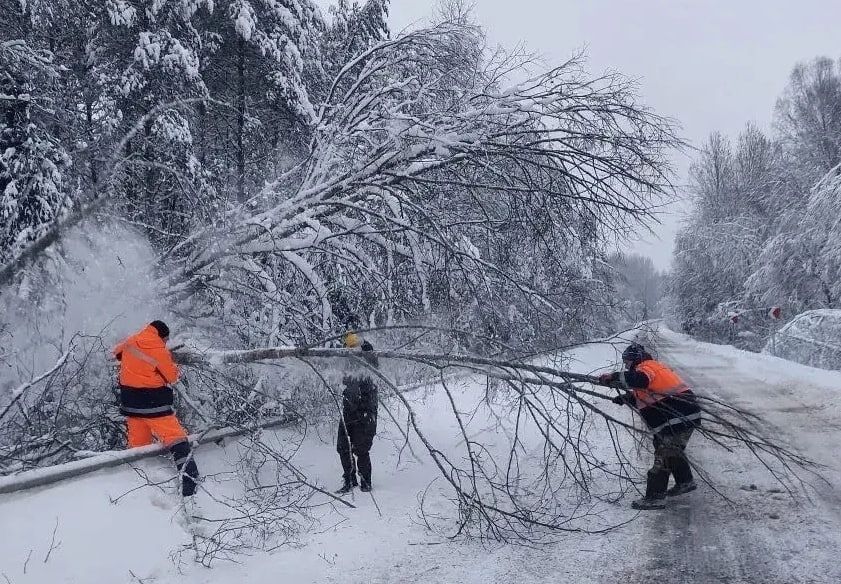 � ������������ ������� ������ ��������� �� ��������� ��������