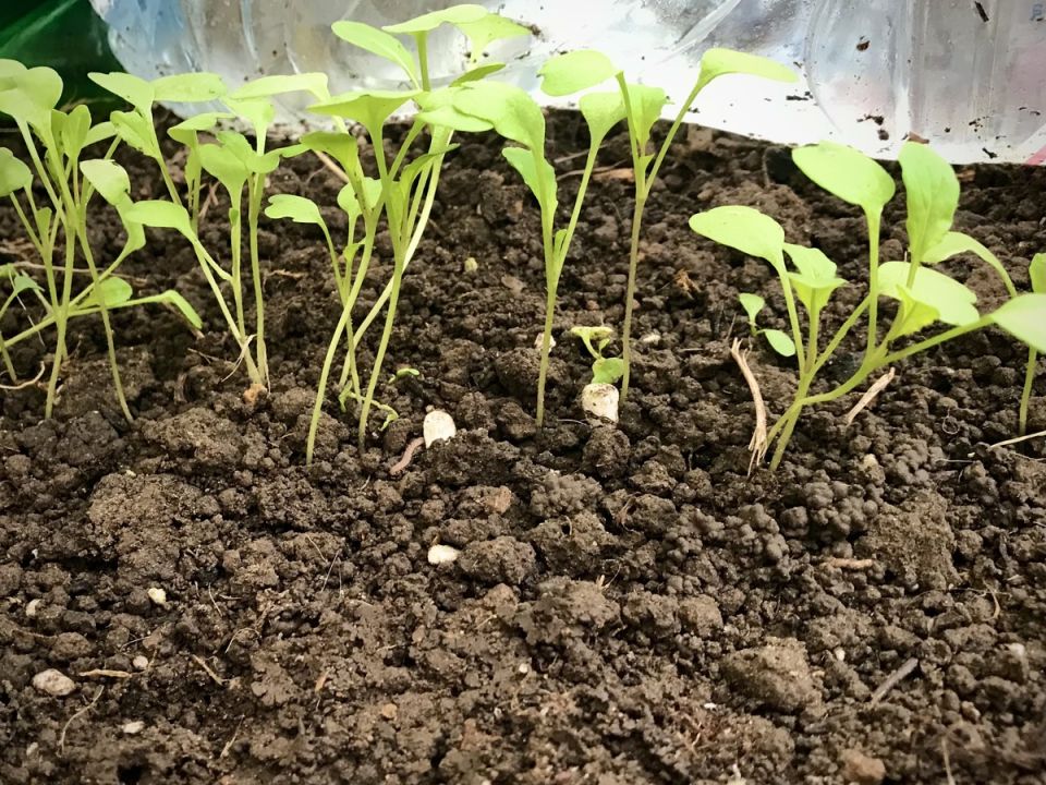 ������� ������������: ��� ������ ���������� �������� ���� � ������