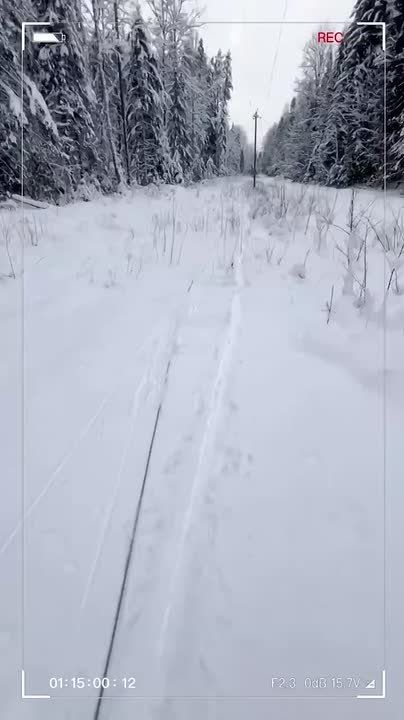 � ��������������� ������������ ������� ������������ ���������� ������ �� �������������� ����������������, ����������� ��-�� ��������������� �������� �������