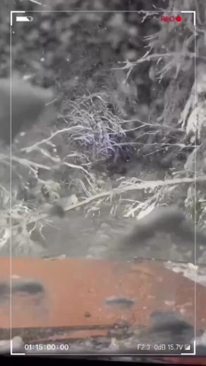 � ������������ ������� ������������� ������� ������ �� �������������� ����������������