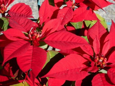 ��� ���������� � ����������: ������� ������ � ����� ��� �������� �������������� ������