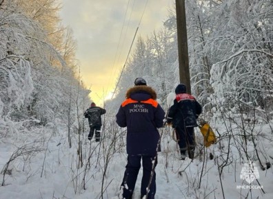 В Новгородской области электроснабжение восстанавливают 243 специалиста